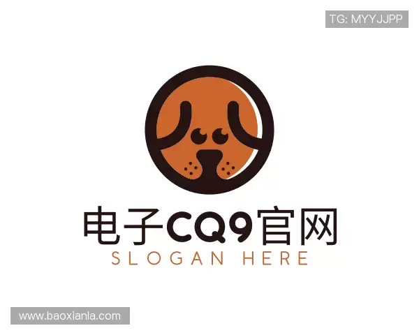 了解电子cq9官网